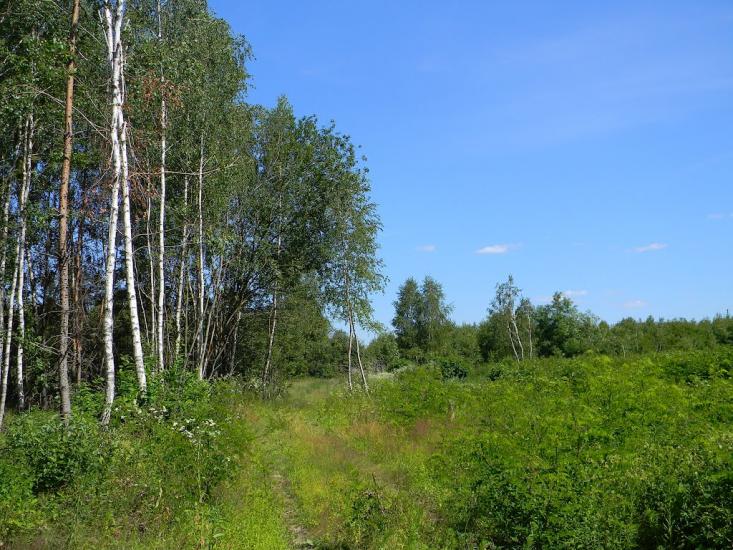Городня з panoramio.com - Городня