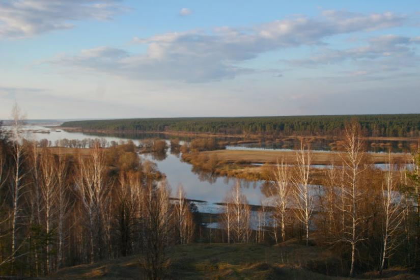 Радичів з panoramio.com - Радичев