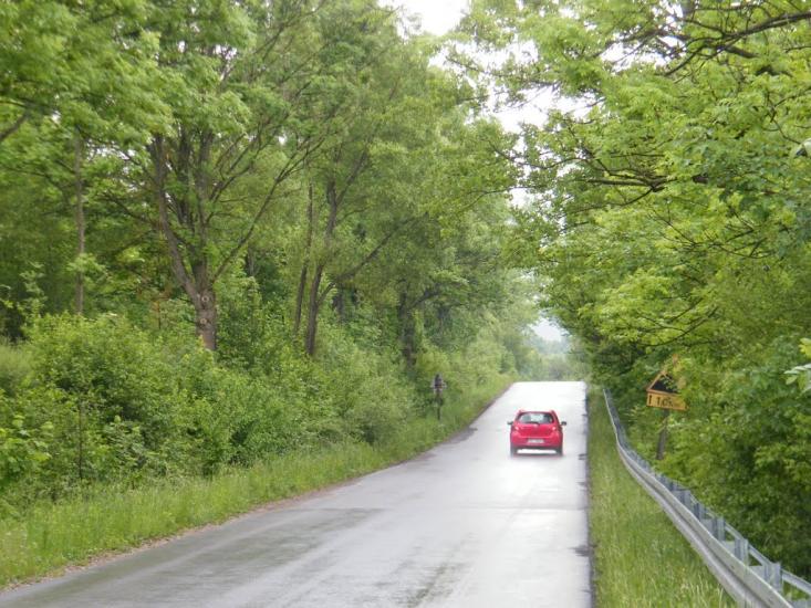 Трушевичі з panoramio.com - Trushevychi