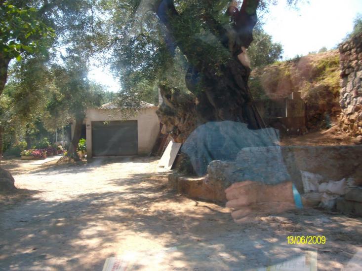 Подвір'ївка з panoramio.com - Подворьевка