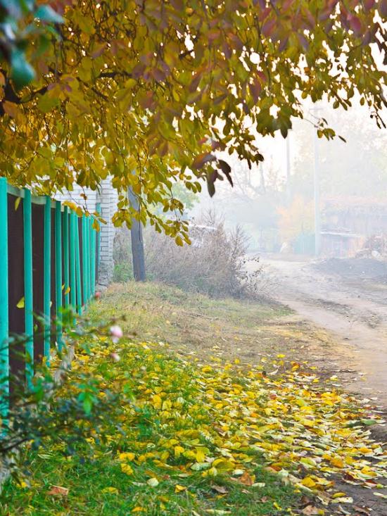 Кодима з panoramio.com - Kadima