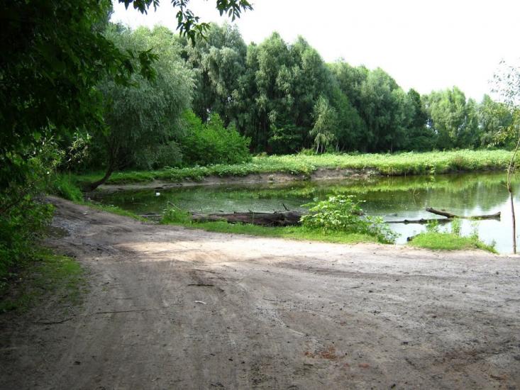 Підлісне з panoramio.com - Підлісне