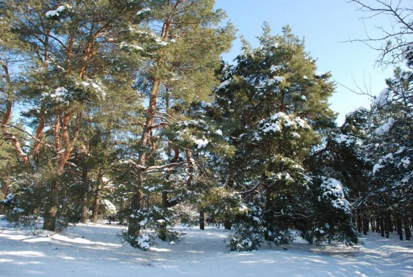 Баловне з panoramio.com - Баловное