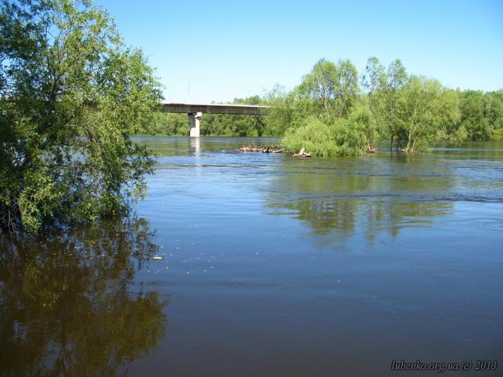 Остер з panoramio.com - Oster