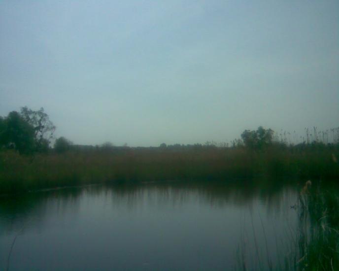 Синява з panoramio.com - Synyava
