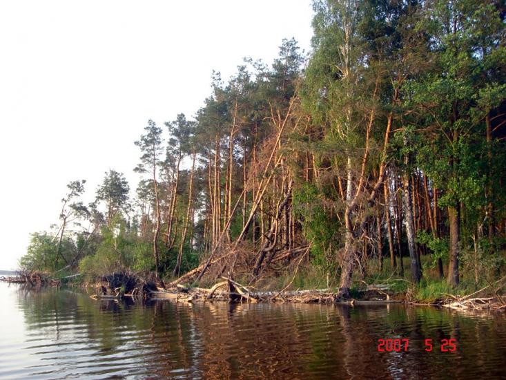 Лошакова Гута з panoramio.com - Лошакова Гута