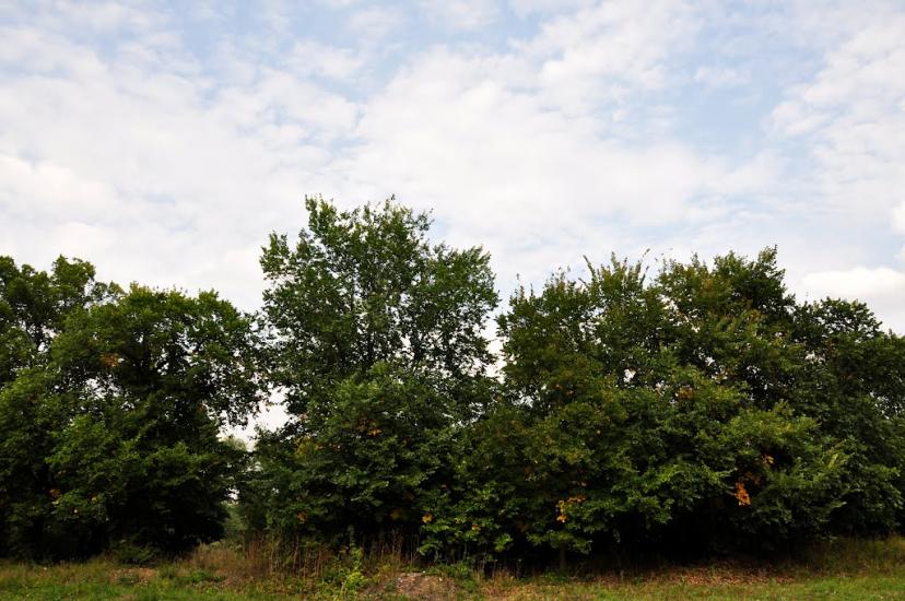 Шахтарськ з panoramio.com - Shakhtarsk