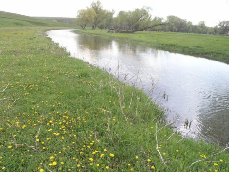 Кременівка з panoramio.com - Кременівка