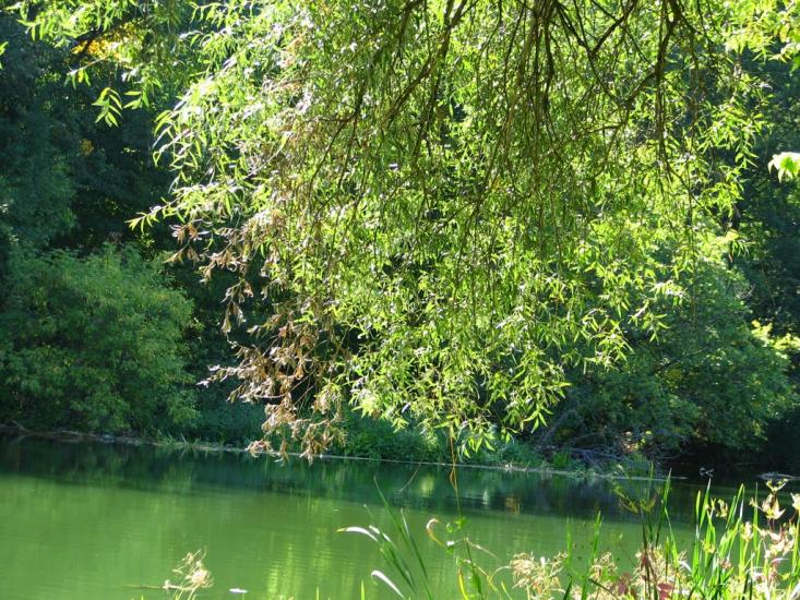 Соцзмагання з panoramio.com - Соцзмагання