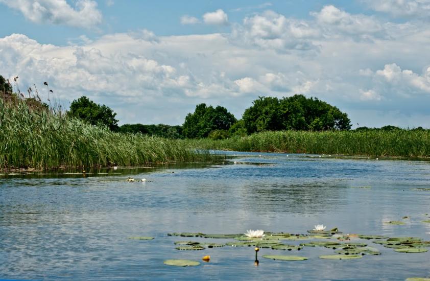 Сокирна з panoramio.com - Сокирна