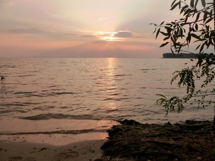 Ровжі з panoramio.com - Ровжи
