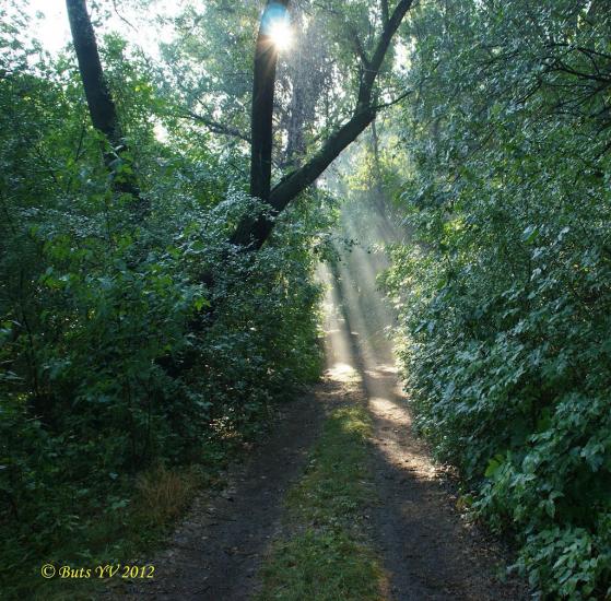 Крилівське з panoramio.com - Крыловское