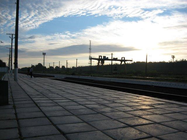 Дубровиця з panoramio.com - Дубровица