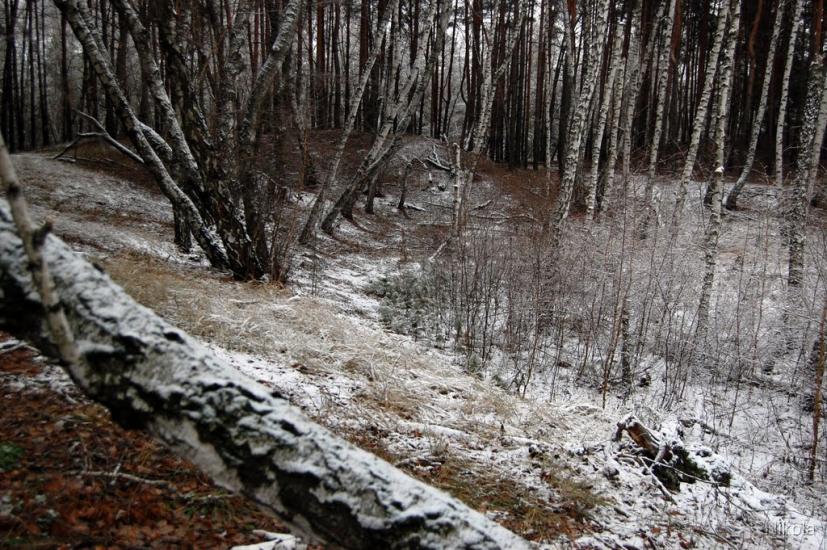 Воронове з panoramio.com - Воронове