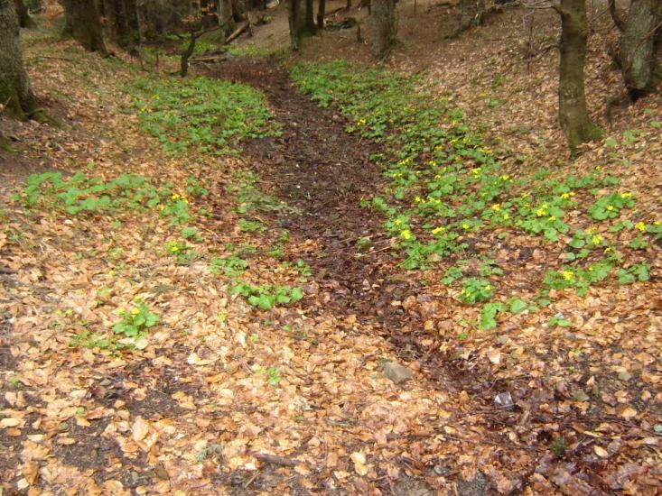 Розлуч з panoramio.com - Розлуч