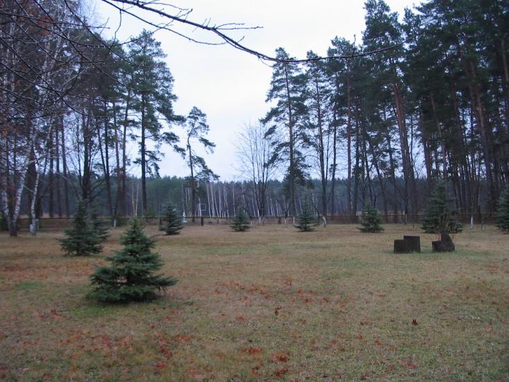 Задонецьке з panoramio.com - Zadonetske