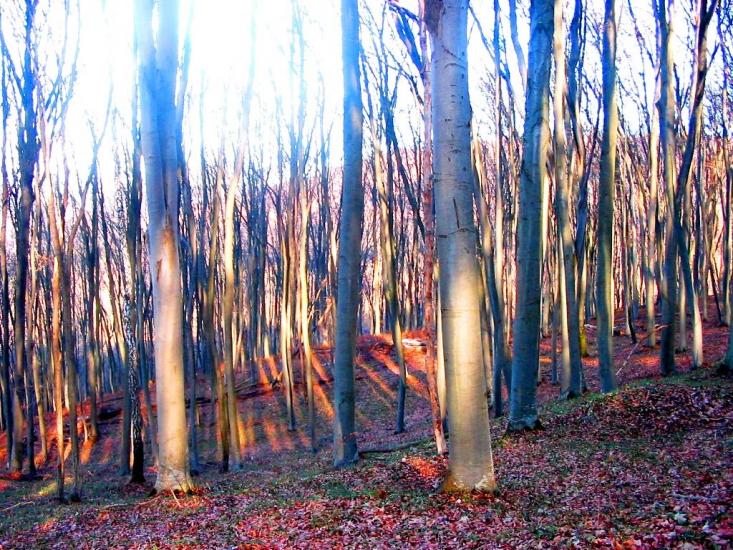 Демня з panoramio.com - Демня