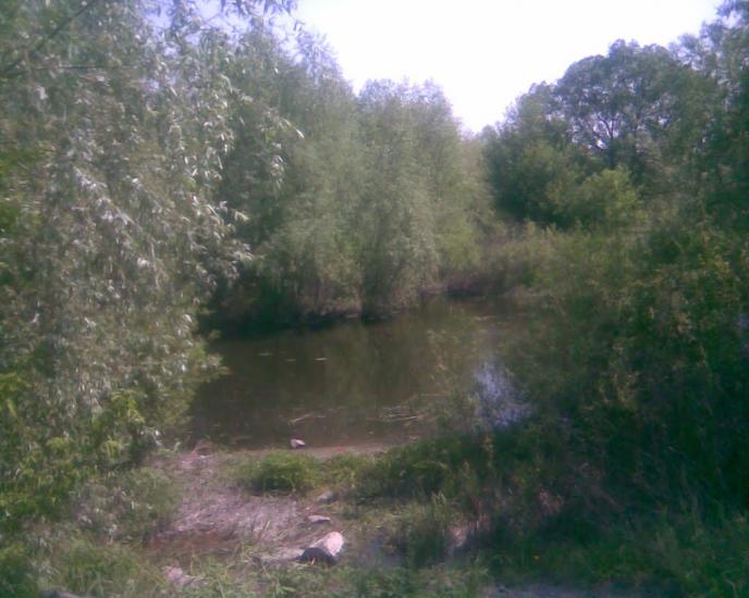 Синява з panoramio.com - Synyava