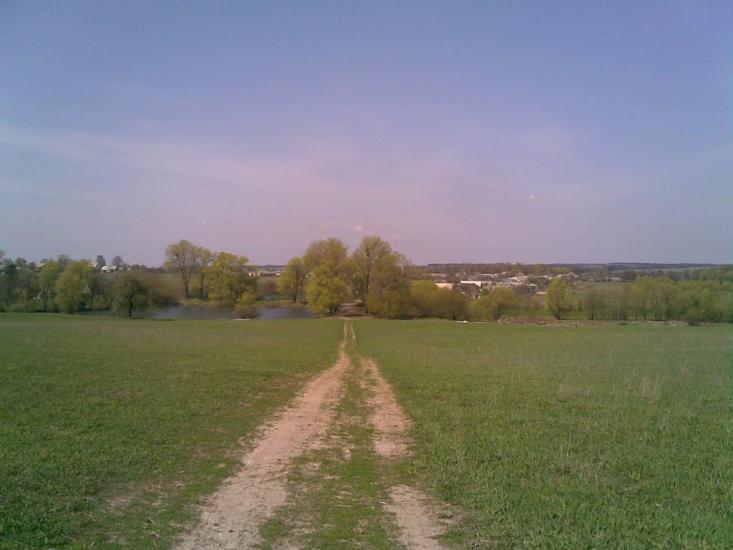 Кошляки з panoramio.com - Кошляки