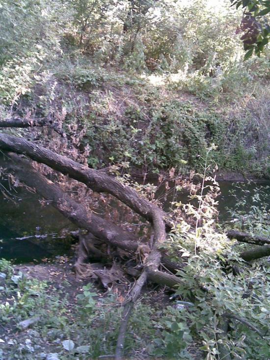 Юр'ївка з panoramio.com - Юрьевка