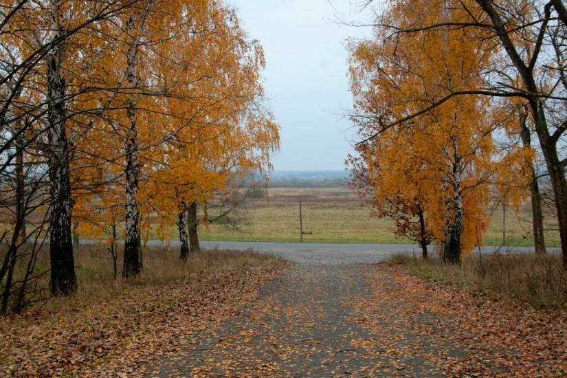 Веприн з panoramio.com - Веприн