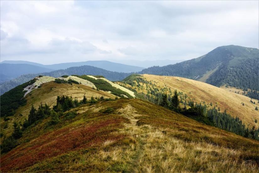 Береги з panoramio.com - Береги