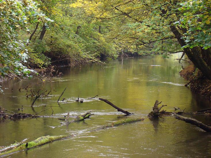 Кринцілів з panoramio.com - Кринцілів