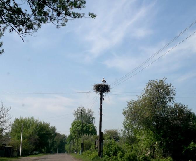 Гірськ з panoramio.com - Гірськ