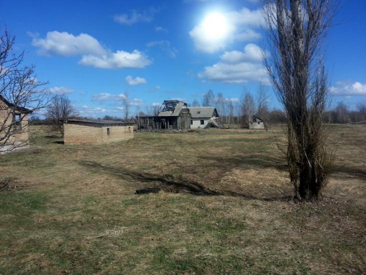 Нівецьке з panoramio.com - Нивецкое