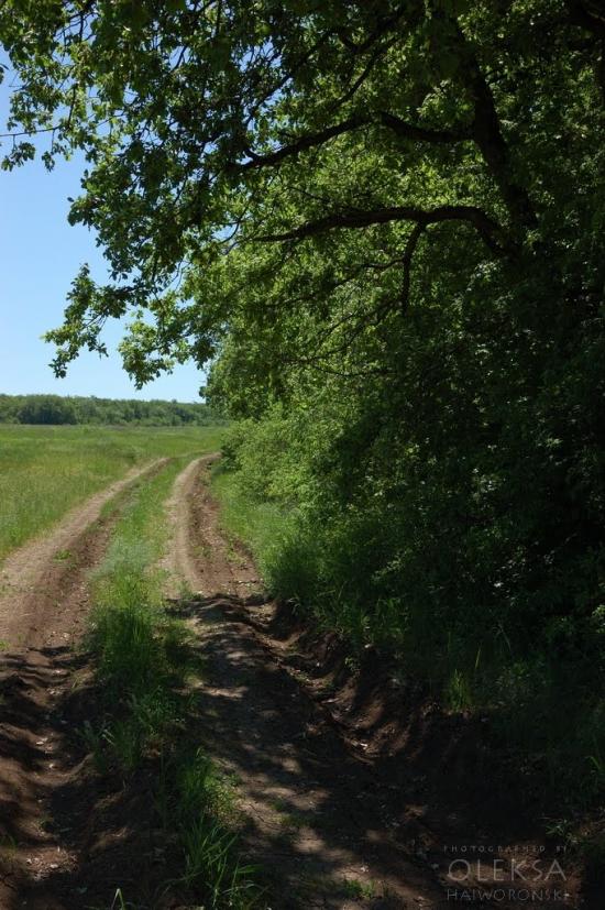 Долинне з panoramio.com - Долинне