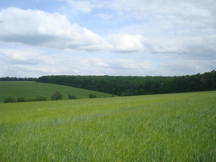 Ставчани з panoramio.com - Ставчаны