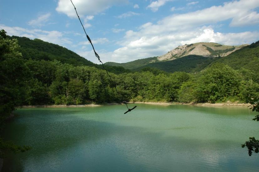 Ворон з panoramio.com - Ворон
