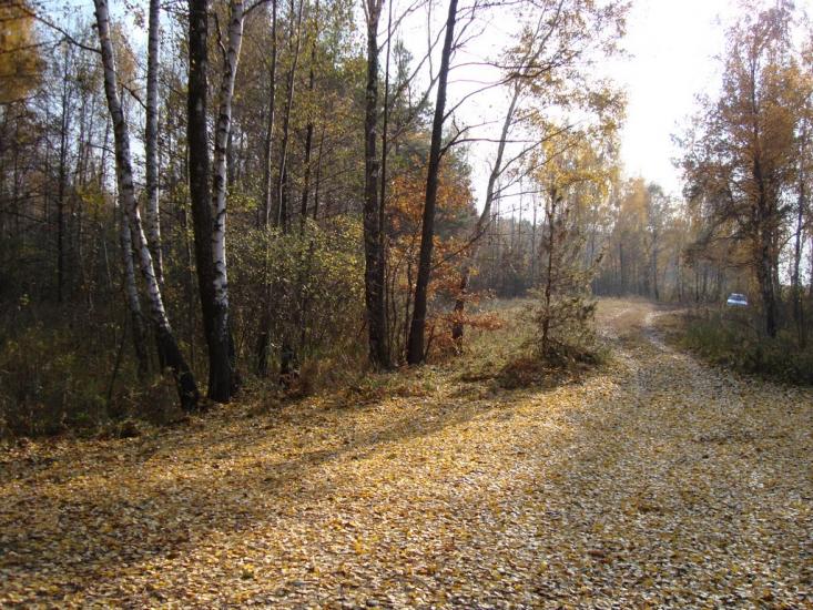 Лошакова Гута з panoramio.com - Лошакова Гута