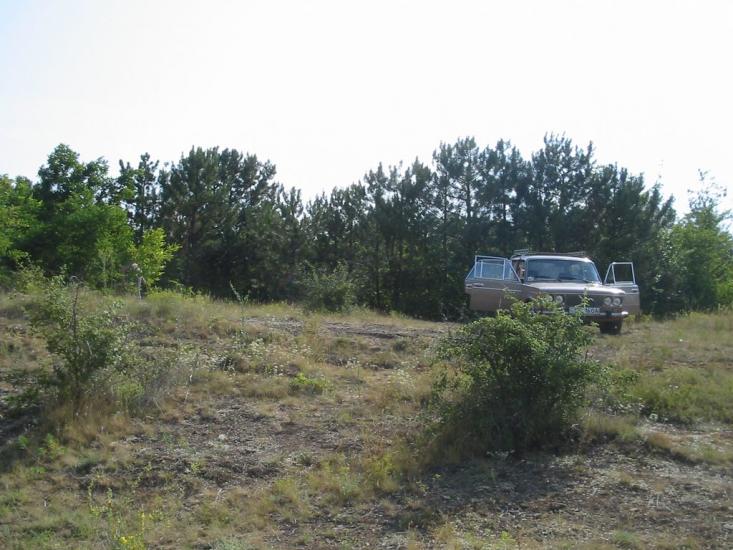 Паліївка з panoramio.com - Паліївка