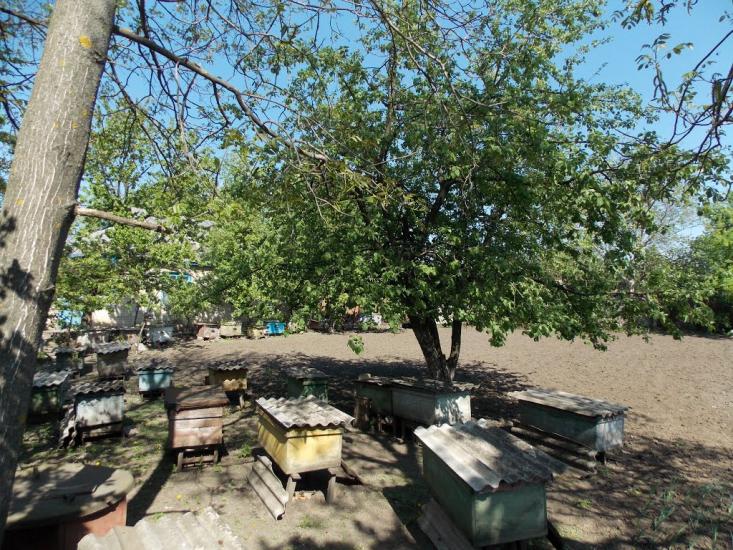 Оратів з panoramio.com - Оратів