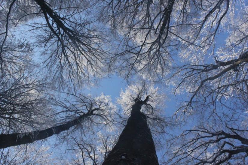 Кваси з panoramio.com - Квасы