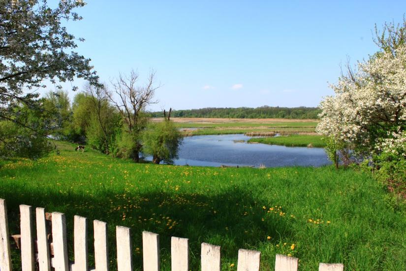 Стара Чортория з panoramio.com - Стара Чортория