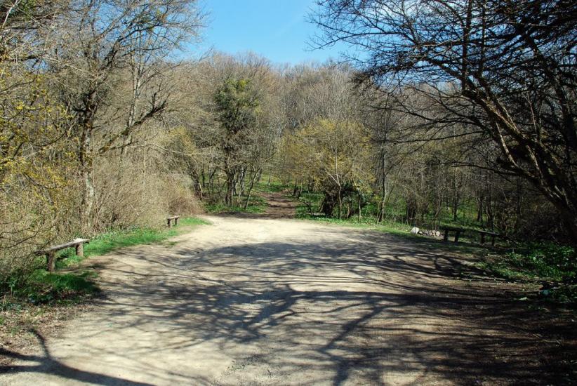 Багата Ущелина з panoramio.com - Bagata Uschelyna