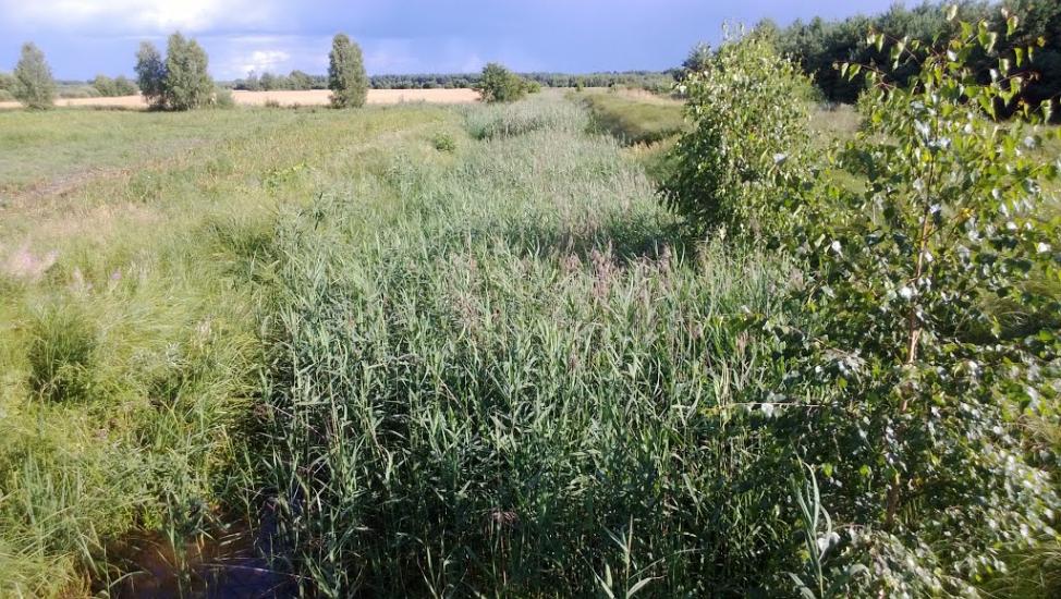 Ниговищі з panoramio.com - Ниговищі