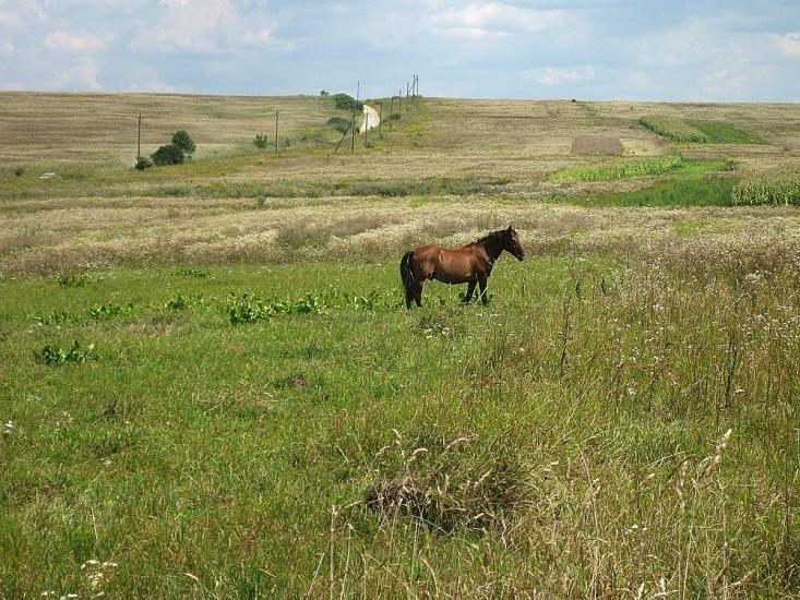 Маріямпіль з panoramio.com - Mariyampil