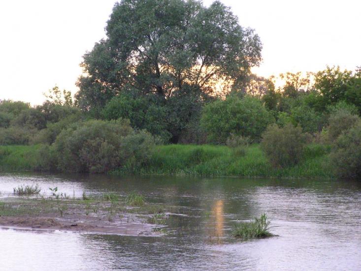 Блідча з panoramio.com - Blidcha