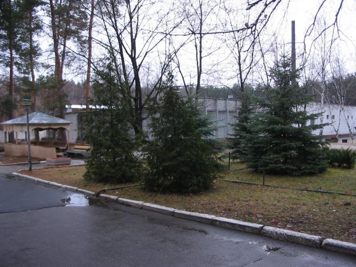 Задонецьке з panoramio.com - Zadonetske