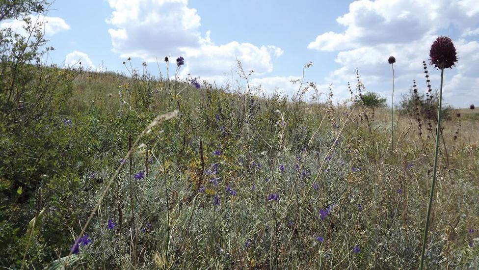 Благодатне з panoramio.com - Благодатное