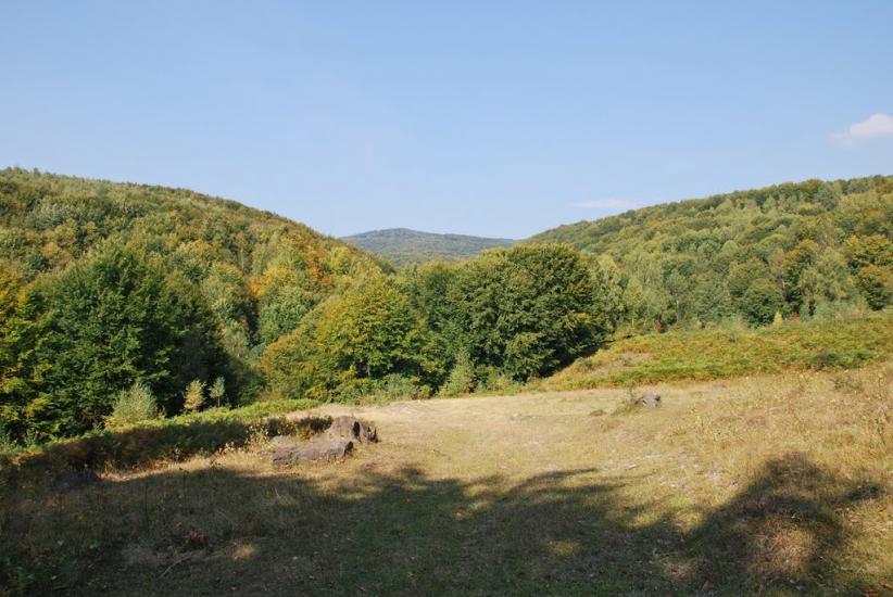 Ільниця з panoramio.com - Ільниця