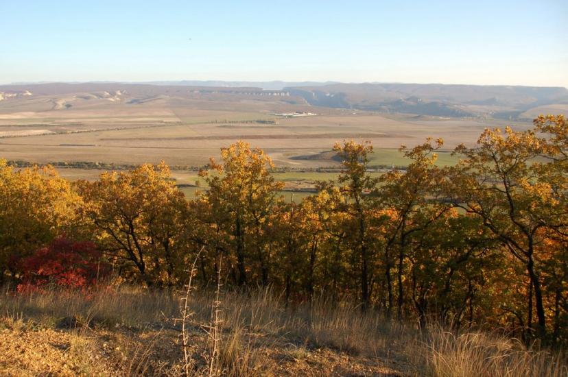 Холмівка з panoramio.com - Холмовка