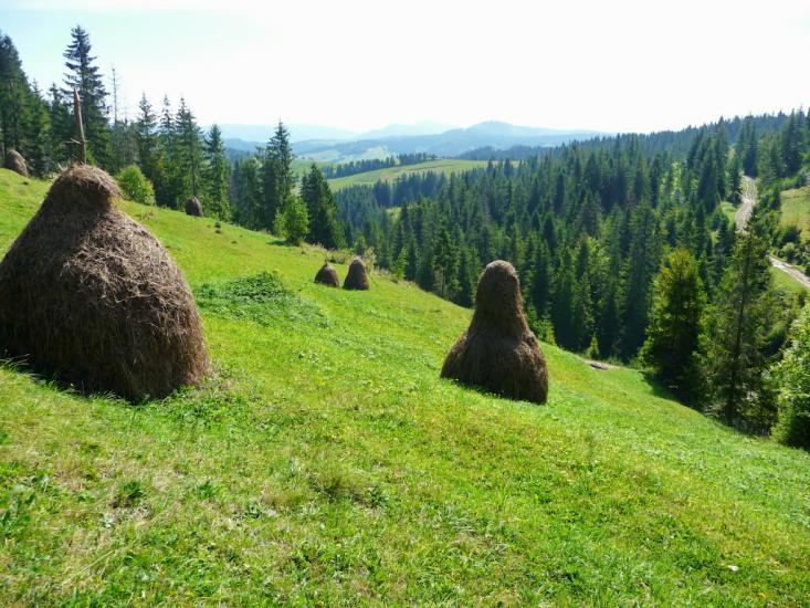 Лавочне з panoramio.com - Лавочное
