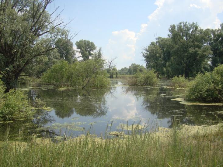 Жукин з panoramio.com - Zhukyn