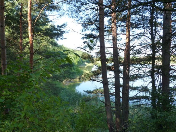 Медвин з panoramio.com - Медвин