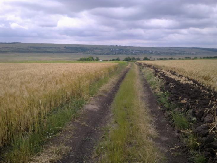 Юр'ївка з panoramio.com - Юр'ївка