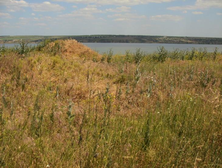 Мале з panoramio.com - Мале